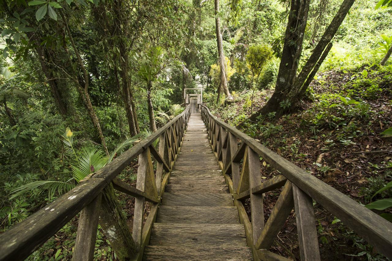 Nuquí Prana Pacifico Retreats酒店 外观 照片